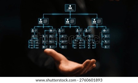 Corporate org chart and team structure show hierarchy, team, and structure for clear organization, management, and operational planning Marrow