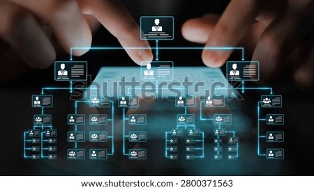 Corporate org chart and team structure show hierarchy, team, and structure for clear organization, management, and operational planning Marrow