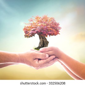 Corporate Social Responsibility (CSR) Concept: Father And Son Hands Holding Red Tree On Blurred Nature Background