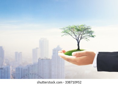 Corporate Social Responsibility (CSR) Concept: Businessman Hands Holding Big Tree Over Blurred City Background