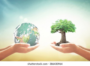 Corporate Social Responsibility (CSR) Concept: Two Children Hands Holding Earth Globe And Green Tree Over Blurred Nature Background. Elements Of This Image Furnished By NASA