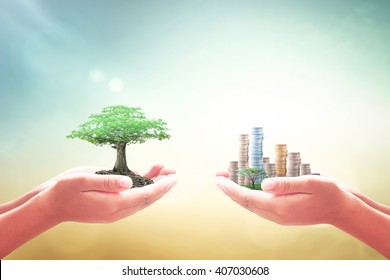 Corporate Social Responsibility (CSR) Concept: Two Human Hands Holding Big Tree And Stacks Of City Coins On Blurred Autumn Sunset Background