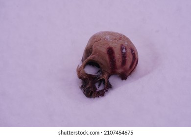 Corpse Skull Rotting In The Snow Leftover From Halloween Decorations