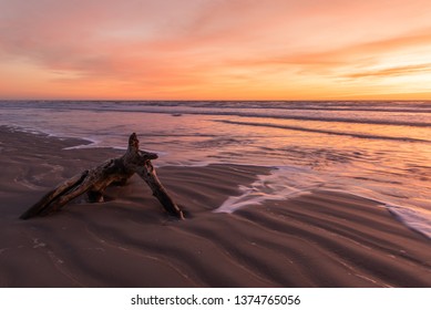 Corpus Christi Sunrise Driftwood