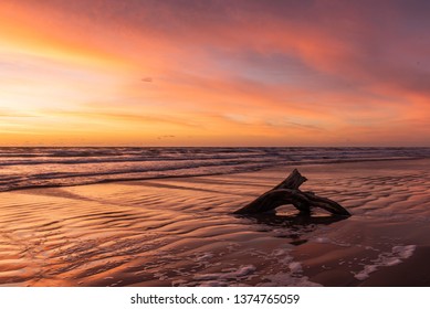 Corpus Christi Sunrise Driftwood