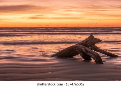 Corpus Christi Sunrise Driftwood