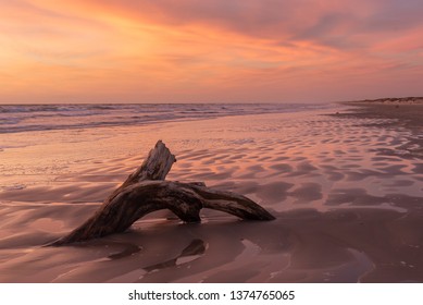 Corpus Christi Sunrise Driftwood