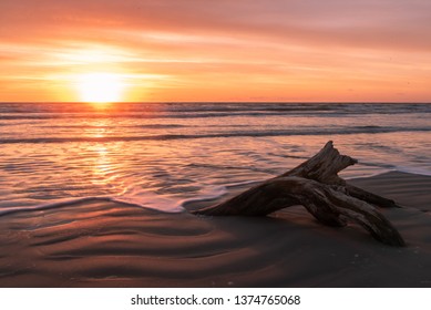 Corpus Christi Sunrise Driftwood