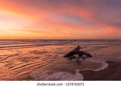 Corpus Christi Sunrise Driftwood