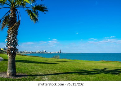 Corpus Christi Texas Sunny Day Along The Coastal Bend Green Paradise View Of The City By The Bay Along The Texas Gulf Coast With Palm Tree In Foreground And Cityscape Skyline In The Background