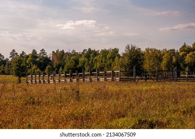 A Corral For Animals In A Green Meadow Among Trees. Small Family Farm