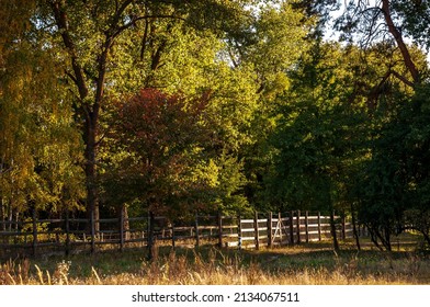 A Corral For Animals In A Green Meadow Among Trees. Small Family Farm