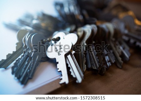 The correct key. Security and encryption concept image.