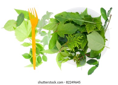 The correct, useful,  and healthy food - is a fresh green leaves. Isolated
