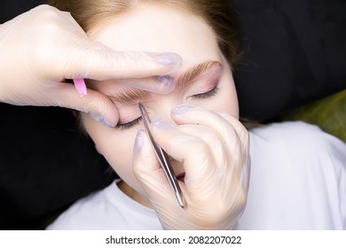 correction and plucking of excess hairs after the eyebrow lamination procedure