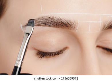 Correction And Tint Of Eyebrows, Master Applies Brush To Woman Marking On Brow.