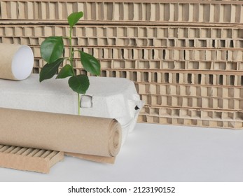 Corrugated board in sheets, paper core for toilet paper, kraft paper in roll and paper egg packaging, small tree sprout. Recycled products on white background