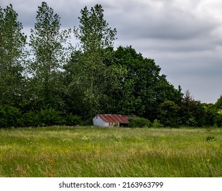 A Corrugated Cow Shed In A Wild Flower Meadow Near Clyst St Mary In Devon UK 