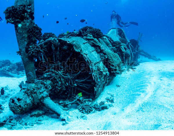Corsair Plane Wreck - Scuba Dive Oahu, Hawaii -\
World War 2 Airplane