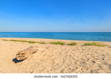 Corsica Beach Landscape East Coast With Tree Trunk