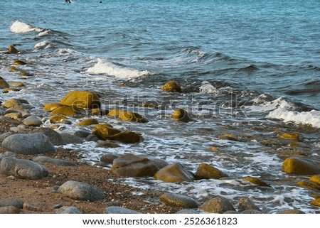 Similar – Image, Stock Photo last big wave Waves