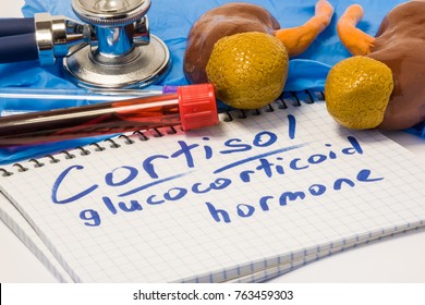 Cortisol glucocorticoid hormone diagnostic concept photo. Figure of adrenal glands (cortex) with kidneys which produces this steroid hormone, next to stethoscope, lab test tubes, note labeled cortisol