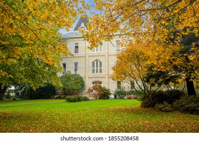 Corvallis, Oregon - 11/7/20:  A Maple Tree Showing Autumn Fall Colors In Front Of The Community Hall, Formerly Benton Hall, Building At Oregon State University, Corvallis, Oregon