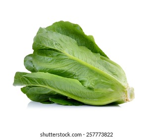 Cos Lettuce On White Background