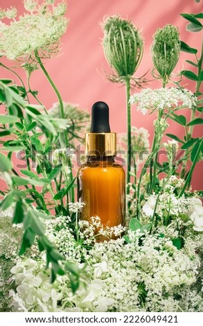 Cosmetic amber glass dropper bottle in fresh nature setup. Green leaves white flowers on pink. Essential aroma oil or face care serum essence. natural beauty and cosmetics. Pink forest