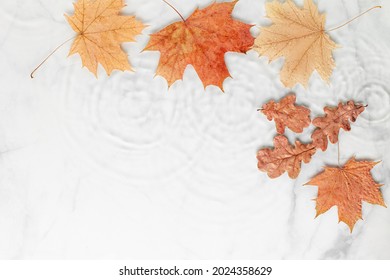 Cosmetic background with autumn leaves. Blurred transparent clear water surface with marble texture with splashes and bubbles and circles from the rain. Trendy abstract nature template - Powered by Shutterstock