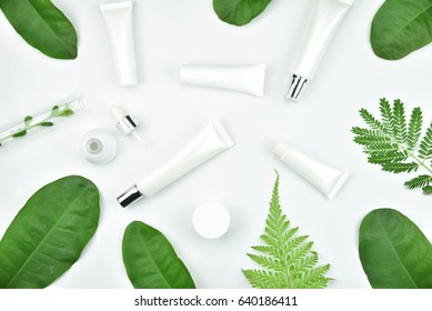 Cosmetic Bottle Containers With Green Herbal Leaves, Blank Label Package For Branding Mock-up, Natural Organic Beauty Product Concept.