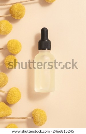 Similar – Image, Stock Photo Craspedia