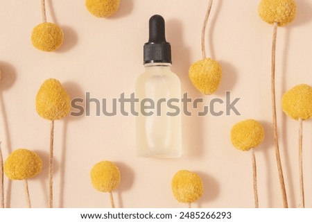 Image, Stock Photo Craspedia