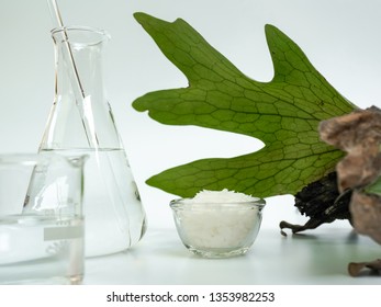 Cosmetic Chemicals Ingredient On White Laboratory Table. Microcrystalline Wax, Alcohol. 