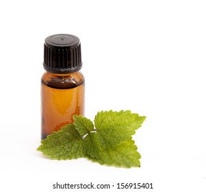 Cosmetic Essential Oil Of Lemon Balm