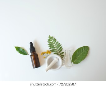 cosmetic laboratory experiment and research with leaf,oil and ingredient for natural beauty and organic skincare product the blank bottle for label ,bio science concept. alternative medicine. spa.