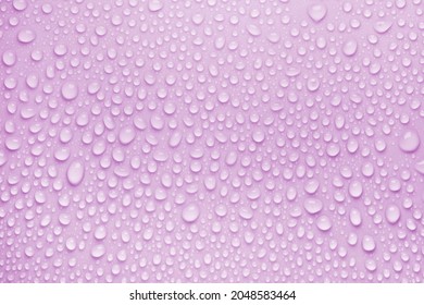 Cosmetic moisturizing liquid drops on purple pink pastel background. Toner or lotion. Hyaluronic serum