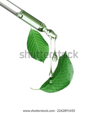 Cosmetic pipette with green leaves close-up on a white background