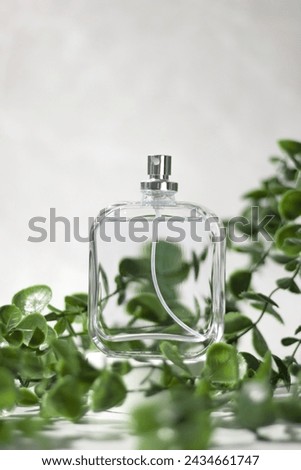 Cosmetic product, perfume in a glass bottle with green leaves. Fragrance for women and men. Perfume spray. Modern luxury perfume de toilette