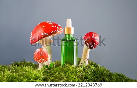 cosmetic products green glass bottles with oil from the fly agaric n moss next to mushrooms on grey background. cosmetics from Amanita muscaria. eco-friendly natural product