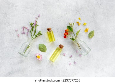 Cosmetic products with medicinal herbs essential oil in bottles - Shutterstock ID 2237877255