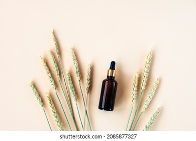 Cosmetic serum in brown glass bottle and spikelets of wheat on a light beige background. Natural cosmetics concept. Top view, flat lay, copy space.