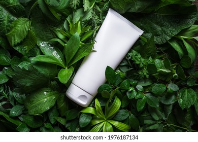 Cosmetic Skin Care Product (body Lotion, Hair Shampoo, Face Creme) On Green Leaves As Background, Top View. Natural Eco Beauty And Organic Skin Care Concept.