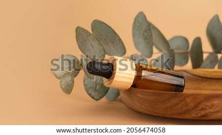 Similar – Image, Stock Photo Eucalyptus behind Art Deco fence