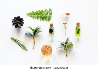 Cosmetics From Natural Wood Ingredients