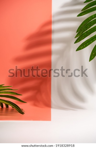 Cosmetics product advertising stand. White and\
pink background with with palm leaves and shadows. Empty place to\
display product packaging.\
Mockup