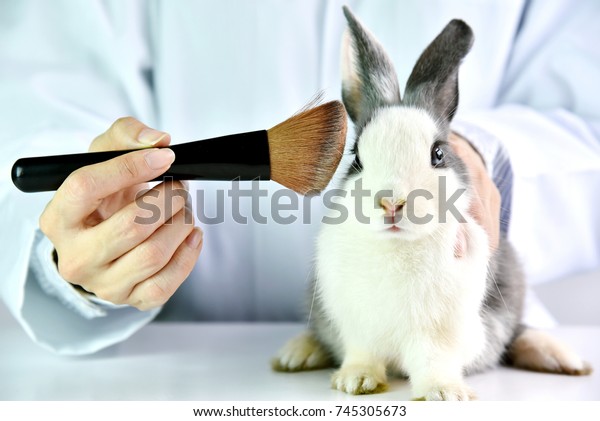 Cosmetics test on rabbit animal,\
Scientist or pharmacist do research chemical ingredients test on\
animal in laboratory, Cruelty free and stop animal abuse\
concept.