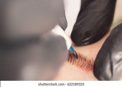 Cosmetologist applying permanent make up on eyebrows. Permanent tattooing of eyebrows.
