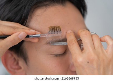 Cosmetologist And Japanese Man Trimming Eyebrows
