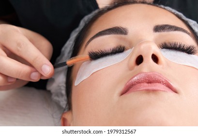 Cosmetologist making eyelash extention and correction using brush - Shutterstock ID 1979312567